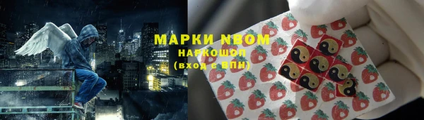 прущий лед Алзамай