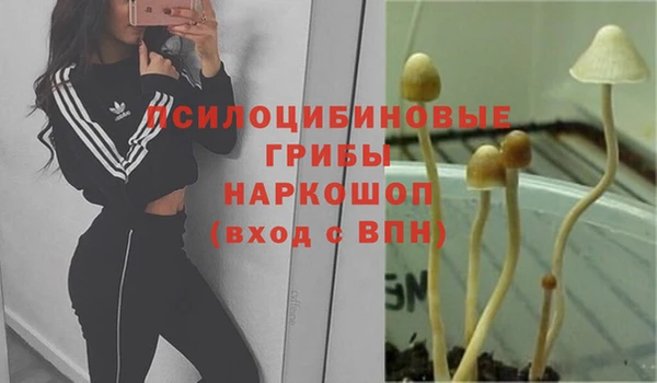 прущий лед Алзамай