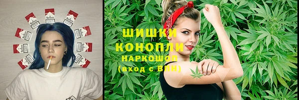 прущий лед Алзамай