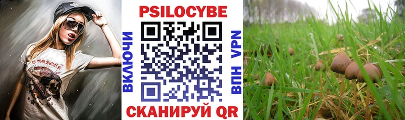 Галлюциногенные грибы мухоморы  Кемь 
