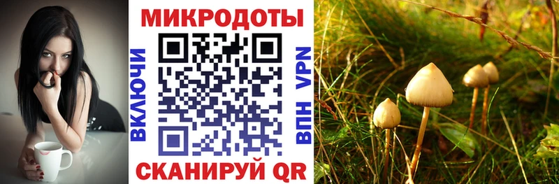 Псилоцибиновые грибы мухоморы Кемь